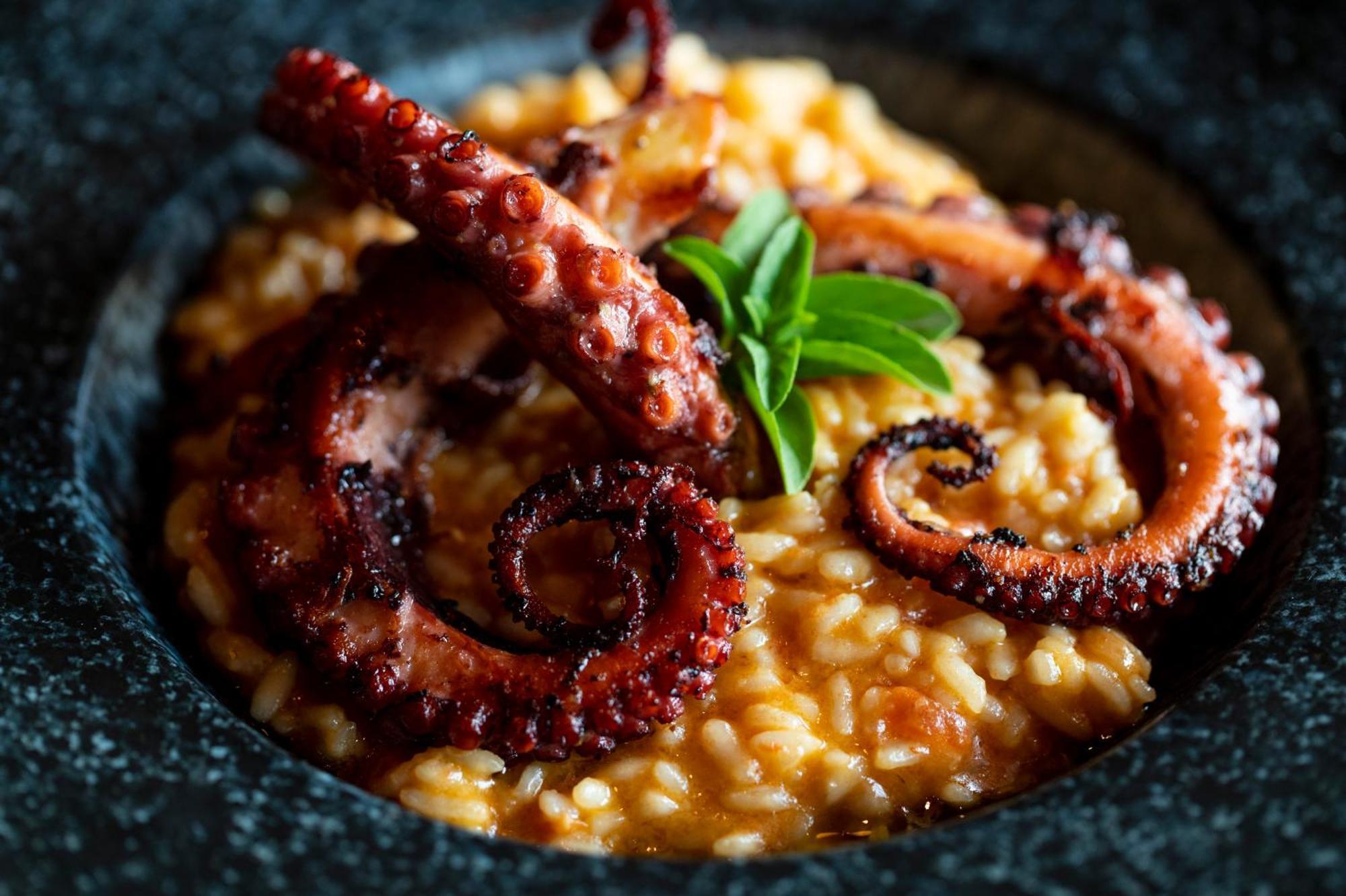 B Hotel Brasília Ngoại thất bức ảnh Risotto alla marinara